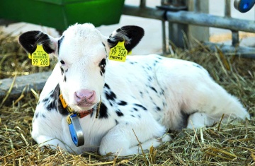 Unser Landwirtschaftsbetrieb 